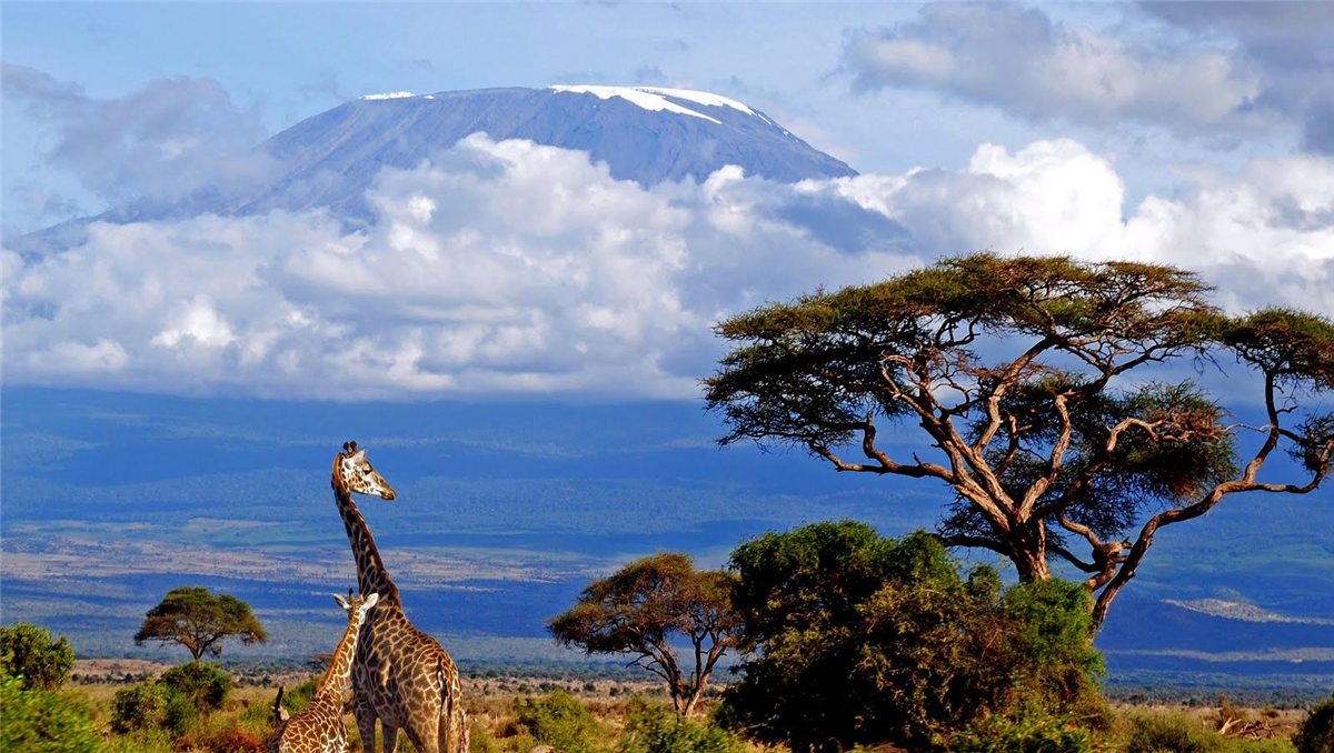 63-19-Kilimanjaro-1.jpg